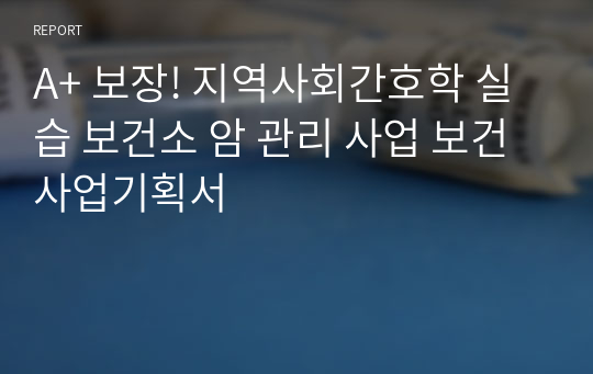 A+ 보장! 지역사회간호학 실습 보건소 암 관리 사업 보건사업기획서