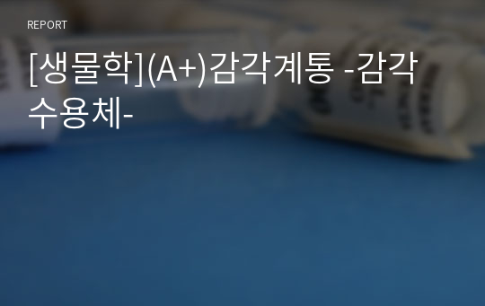 [생물학](A+)감각계통 -감각수용체-