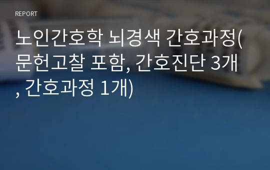 노인간호학 뇌경색 간호과정(문헌고찰 포함, 간호진단 3개, 간호과정 1개)