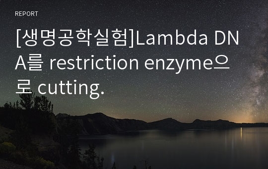 [생명공학실험]Lambda DNA를 restriction enzyme으로 cutting.