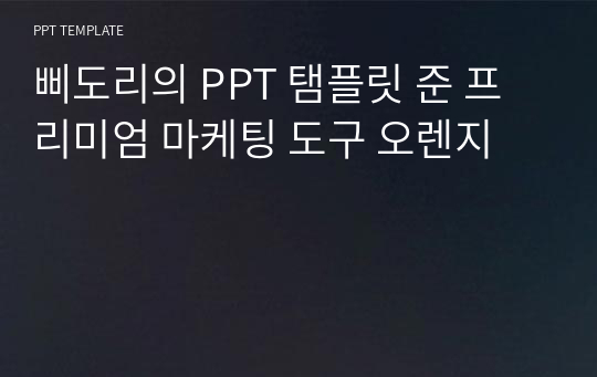 삐도리의 PPT 탬플릿 준 프리미엄 마케팅 도구 오렌지