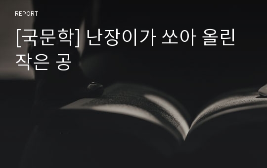 [국문학] 난장이가 쏘아 올린 작은 공