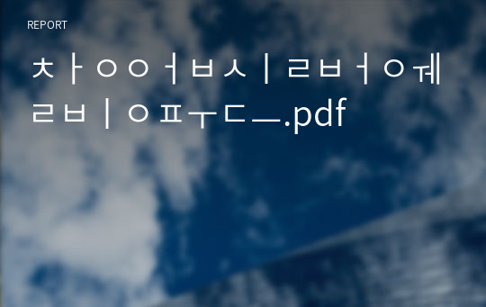 창업실버웰빙푸드.pdf