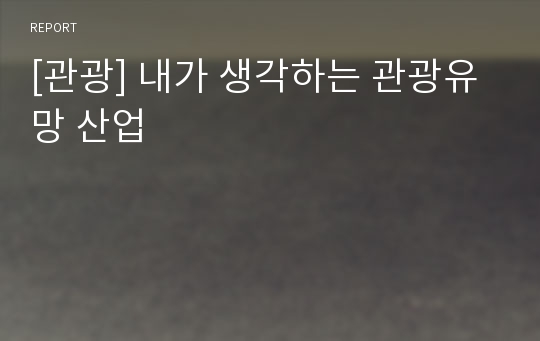 [관광] 내가 생각하는 관광유망 산업