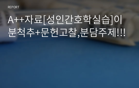 A++자료[성인간호학실습]이분척추+문헌고찰,분담주제!!!