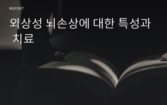 외상성 뇌손상에 대한 특성과 치료