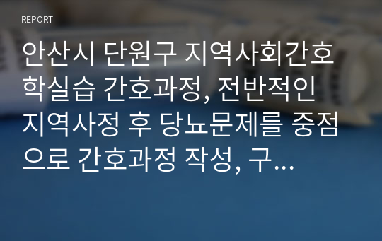 안산시 단원구 지역사회간호학실습 간호과정, 전반적인 지역사정 후 당뇨문제를 중점으로 간호과정 작성, 구체적 수행 계획 5개