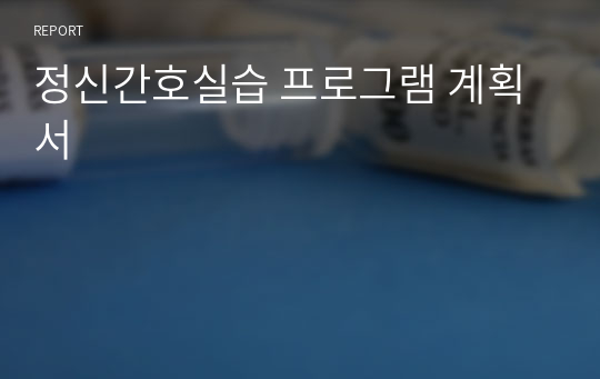 정신간호실습 프로그램 계획서