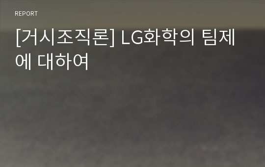 [거시조직론] LG화학의 팀제에 대하여