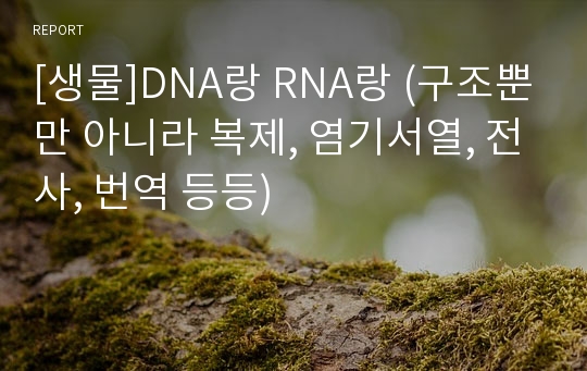[생물]DNA랑 RNA랑 (구조뿐만 아니라 복제, 염기서열, 전사, 번역 등등)