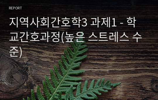 지역사회간호학3 과제1 - 학교간호과정(높은 스트레스 수준)