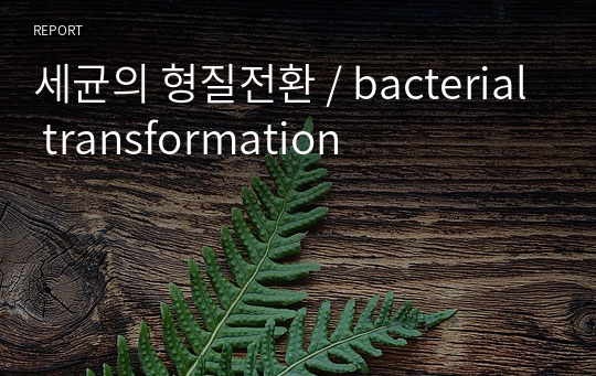 세균의 형질전환 / bacterial transformation