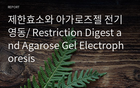 제한효소와 아가로즈젤 전기영동/ Restriction Digest and Agarose Gel Electrophoresis
