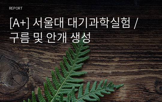 [A+] 서울대 대기과학실험 / 구름 및 안개 생성