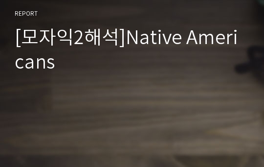 [모자익2해석]Native Americans