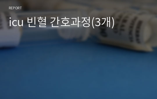 icu 빈혈 간호과정(3개)