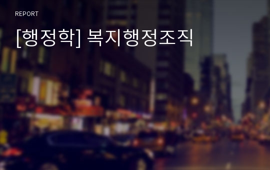 [행정학] 복지행정조직