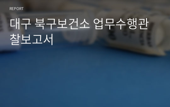 대구 북구보건소 업무수행관찰보고서