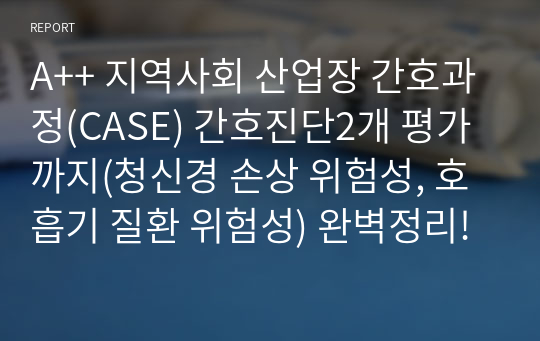 A++ 지역사회 산업장 간호과정(CASE) 간호진단2개 평가까지(청신경 손상 위험성, 호흡기 질환 위험성) 완벽정리!