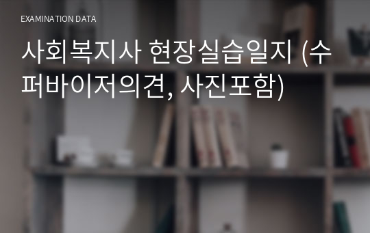 사회복지사 현장실습일지 (수퍼바이저의견, 사진포함)