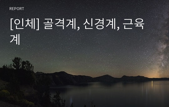 [인체] 골격계, 신경계, 근육계