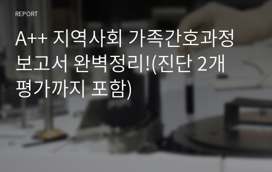 A++ 지역사회 가족간호과정 보고서 완벽정리!(진단 2개 평가까지 포함)