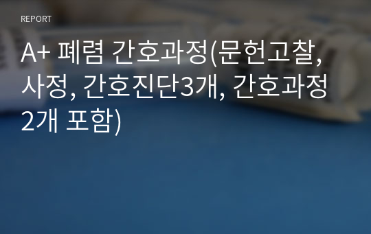 A+ 폐렴 간호과정(문헌고찰, 사정, 간호진단3개, 간호과정2개 포함)