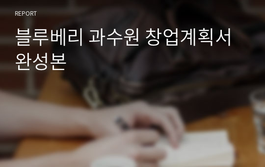 블루베리 과수원 창업계획서 완성본