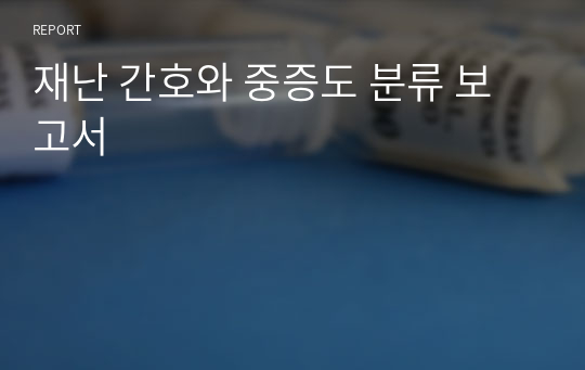 재난 간호와 중증도 분류 보고서