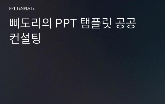 삐도리의 PPT 탬플릿 공공 컨설팅