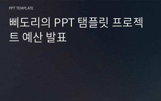 삐도리의 PPT 탬플릿 프로젝트 예산 발표