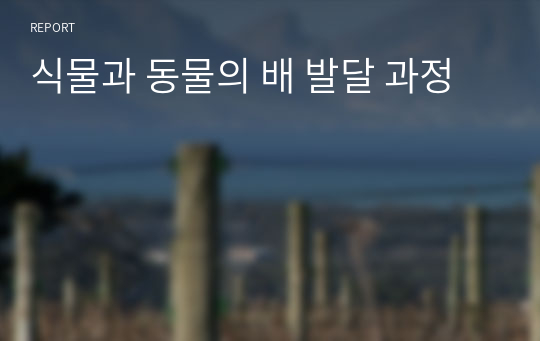 식물과 동물의 배 발달 과정