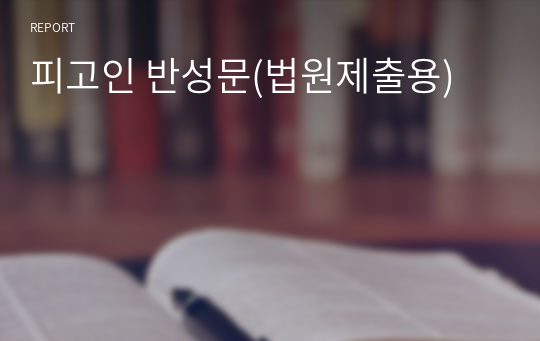 피고인 반성문(법원제출용)