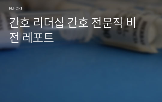 간호 리더십 간호 전문직 비전 레포트