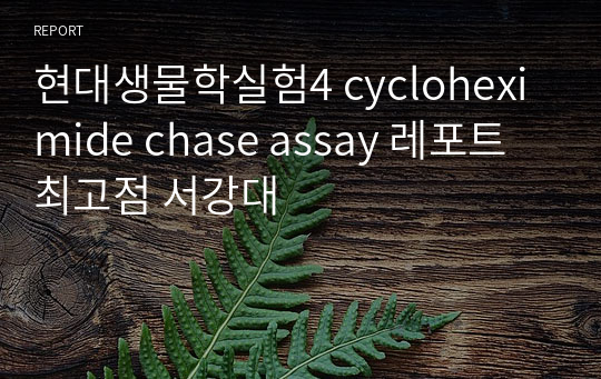 현대생물학실험4 cycloheximide chase assay 레포트 최고점 서강대