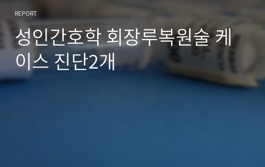 성인간호학 회장루복원술 케이스 진단2개