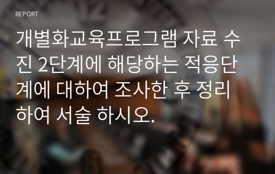 개별화교육프로그램 자료 수진 2단계에 해당하는 적응단계에 대하여 조사한 후 정리 하여 서술 하시오.