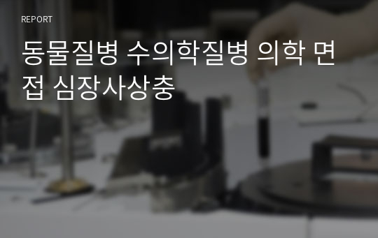 동물질병 수의학질병 의학 면접 심장사상충