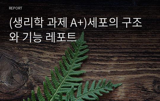 (생리학 과제 A+)세포의 구조와 기능 레포트