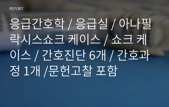 응급간호학 / 응급실 / 아나필락시스쇼크 케이스 / 쇼크 케이스 / 간호진단 6개 / 간호과정 1개 /문헌고찰 포함