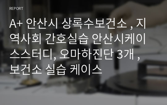 A+ 안산시 상록수보건소 , 지역사회 간호실습 안산시케이스스터디, 오마하진단 3개 , 보건소 실습 케이스