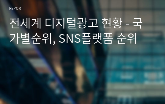 전세계 디지털광고 시장 현황 - 국가별순위, SNS플랫폼 순위