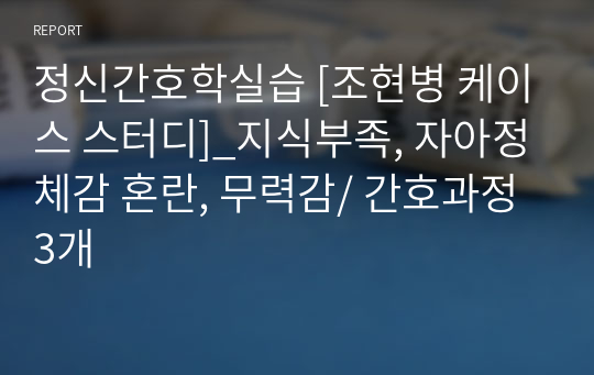 정신간호학실습 [조현병 케이스 스터디]_지식부족, 자아정체감 혼란, 무력감/ 간호과정 3개