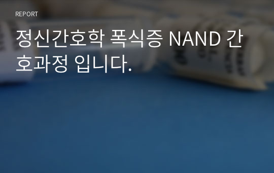 정신간호학 폭식증 NANDA 간호과정 입니다.