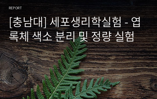 [충남대] 세포생리학실험 - 엽록체 색소 분리 및 정량 실험