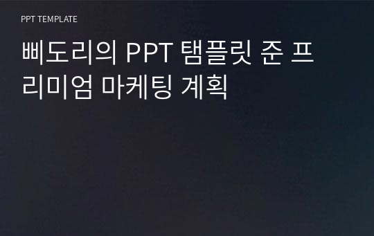 삐도리의 PPT 탬플릿 준 프리미엄 마케팅 계획