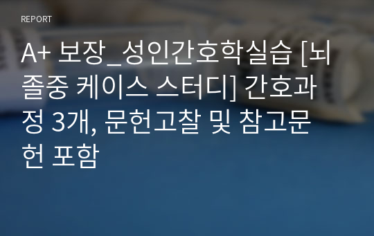 A+ 보장_성인간호학실습 [뇌졸중 케이스 스터디] 간호과정 3개, 문헌고찰 및 참고문헌 포함