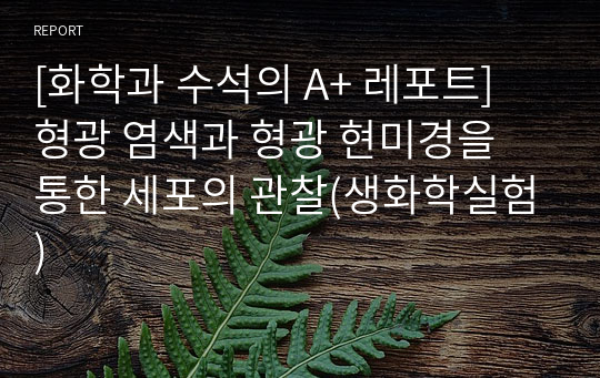 [화학과 수석의 A+ 레포트][조교피드백 포함] 형광 염색과 형광 현미경을 통한 세포의 관찰(생화학실험)