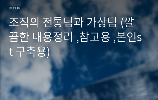 조직의 전통팀과 가상팀 (깔끔한 내용정리 ,참고용 ,본인st 구축용)