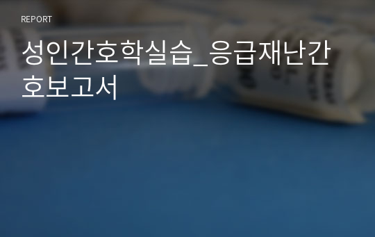 성인간호학실습_응급재난간호보고서